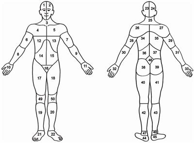 Metastable Pain-Attention Dynamics during Incremental Exhaustive Exercise